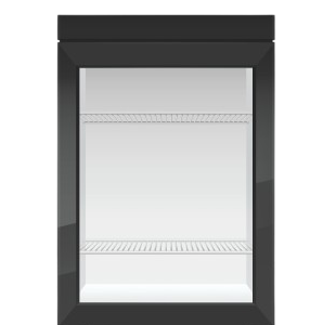 LED Monitor 10" Professional